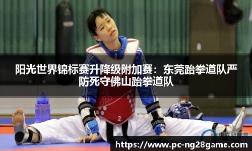 NG28南宫28